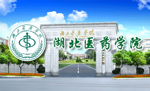 湖北医药学院成人高等教育2021年招生简章