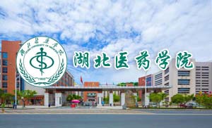 湖北医药学院成人高等教育2021年招生简章